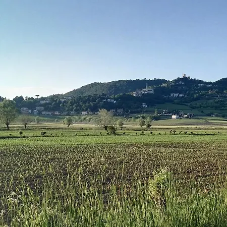 La Pergola Brendola